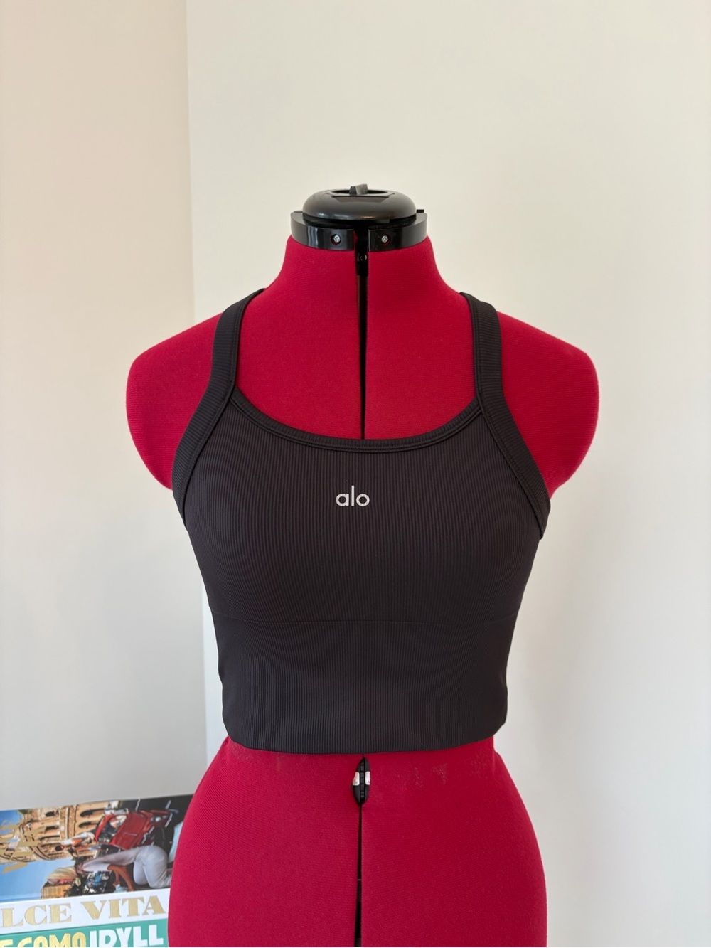ALO Seamless Ribbed Favorite Bra Tank